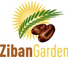 ZIBANGARDEN Algérie 